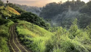 Bali